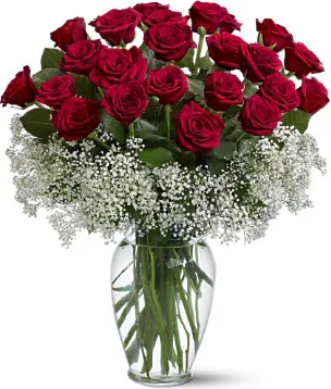 24 Premium Grade Red Roses Decorated with seasonal greenery. Conveys love and passion. Suitable for, love, congratulations, birthdays, weddings, anniversaries and inaugurations.