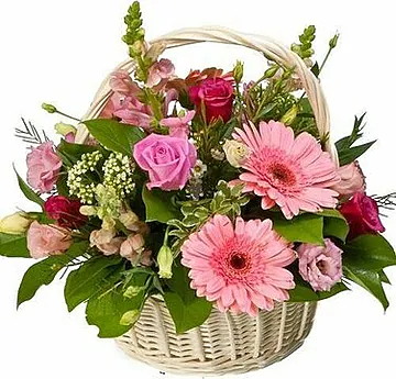Luxury Basket with Roses and Gerberas decorated with seasonal greenery. Suitable for, love, congratulations, birthdays, weddings, anniversaries and inaugurations.