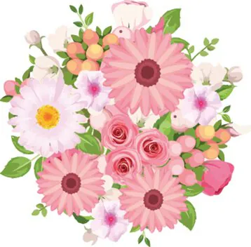 Mixed color Gerberas bouquet with seasonal decorative greenery. Gives Cheer, Happiness and Affection. Suitable for occasions of Birthdays, Friendship, Love, Congratulations, Births, Anniversaries and Inaugurations.