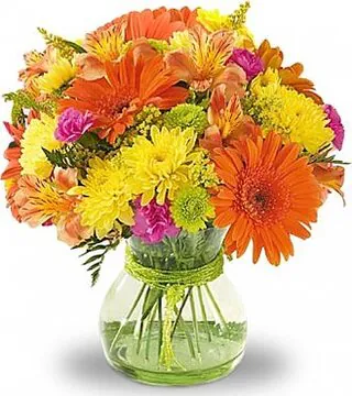 Gerberas, Alstroemerias and Mixed Seasonal Flowers. Suitable for love, congratulations, birthdays, weddings, anniversaries and inaugurations.