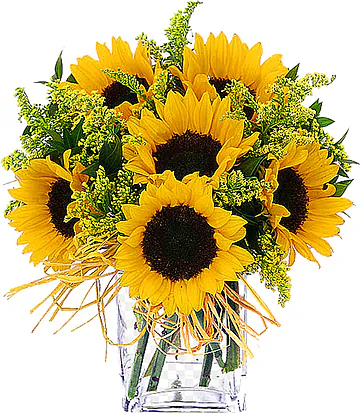 Sunflower Bouquet with seasonal greenery. Expresses joy and energy. Suitable for occasions like births, love, congratulations, birthdays and friendship.