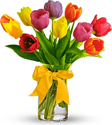 Tulips arrangement decorated with seasonal greenery. Suitable for love, congratulations, birthdays, weddings, anniversaries and inaugurations.