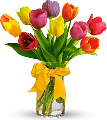 Allegro e Primaverile con Tulipani di Prima scelta in Confezione a Tono e Verde Decorativo di Stagione. Esprime Gioia, Affetto ed Energia. Adatto per occasioni come Compleanni, Amicizia, Amore, Felicitazioni, Matrimoni, Nascita, Anniversari e Inaugurazioni.