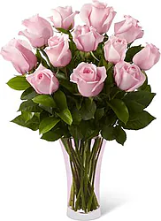 12 pink roses