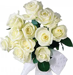 12 white roses