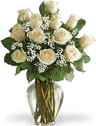 12 white roses