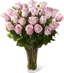 24 pink roses