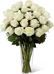 24 white roses