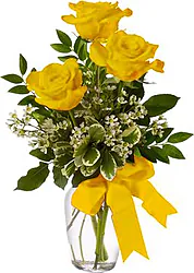 3 Yellow Roses