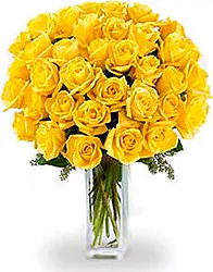 50 yellow roses