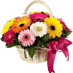 Basket of delicate roses, daisies or gerberas and mixed flowers
