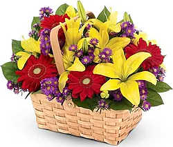 Basket of bright lilies, gerberas and mixed flowers