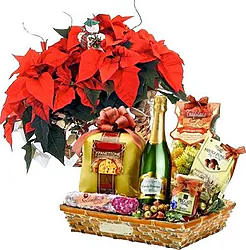 Red poinsettia in a basket with panettone, sparkling wine and local products