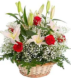 Basket of bright daisies or gerberas, alstroemerias and mixed flowers