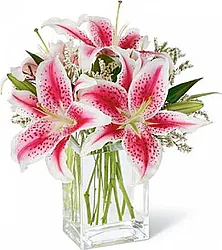 Lilium Big dai toni accesi con Verde Decorativo di Stagione in Elegante Confezione a tono