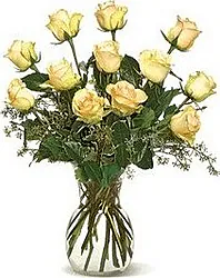 Delicate roses