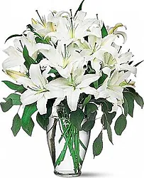 Funeral bunch of delicate lilies