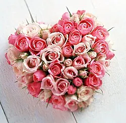 Funeral heart of pink roses