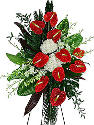 Funeral spray of white and red anthuriums, peonies and mixed flowers
