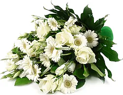 Funeral Roses and Gerberas  Bouquet with seasonal greenery