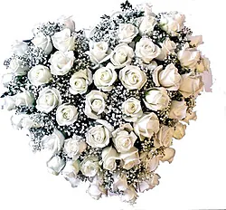 Heart arrangement of delicate roses