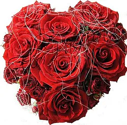 Heart arrangement of red roses