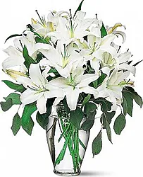 Lilium o Gigli Big in Elegante Confezione a Tono con Verde Misto Decorativo di Stagione