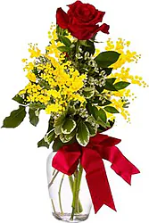 Women's Day, Romantic Mimosas Bouquet with One Red Rose