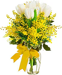 Women's Day,Mimosas Bouquet with White Tulips and seasonal greenery