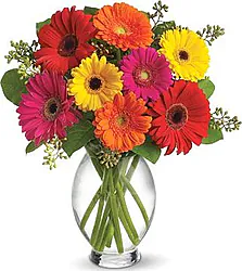 Multicolored Gerberas Bouquet