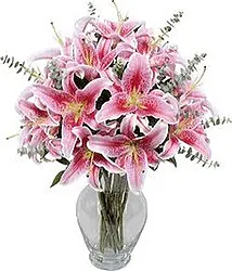 Lilium dai toni delicati