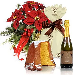 Red poinsettia with pandoro and sparkling wine