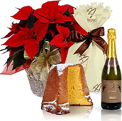 Red poinsettia with pandoro and sparkling wine