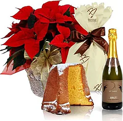 Stella di Natale Rossa di Prima Scelta in Elegante Confezione a Tono con Pandoro e Spumante