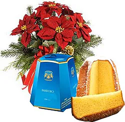 First-class red poinsettia with pandoro