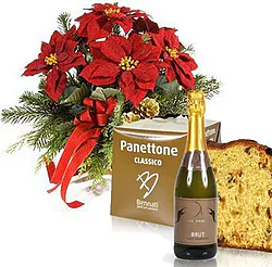 Red poinsettia with panettone and sparkling wine