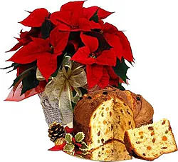 Red poinsettia with panettone