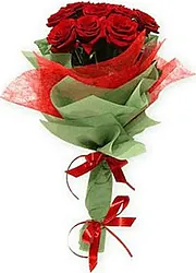 Rose rosse