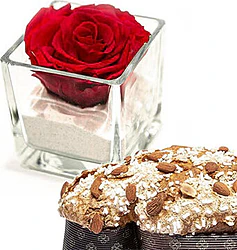 Easter Dove with High Quality Preserved Rose