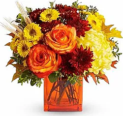 Roses, daisies or gerberas and mixed flowers in warm colors