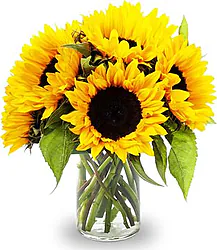 Sunflowers bouquet, decorated with seasonal greenery. Expresses joy and energy.
