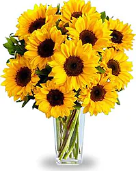High Quality Sunflowers arrangement