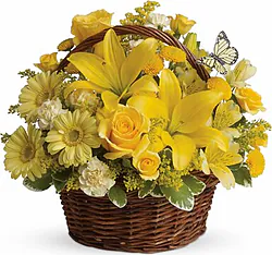 Sunny basket of lilies, roses, gerberas and mixed flowers