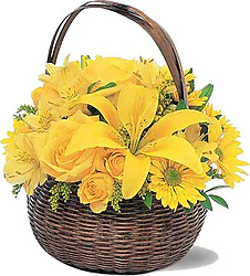 Sunny basket of roses, lilies, daisies or gerberas and mixed flowers