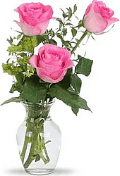 3 Rose Rosa elegantemente confezionate con verde di stagione