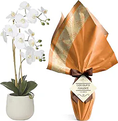 Easter Egg with Orchid Plant