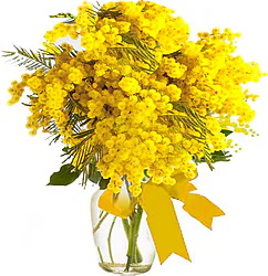 Women's Day Mimosas Bouquet. Same day delivery within 2 hours.