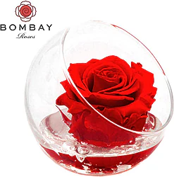 High Quality Euroflora Preserved Rose combined with a Flower Bouquet
