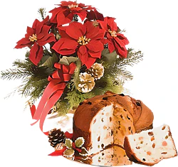 First-class red poinsettia with panettone